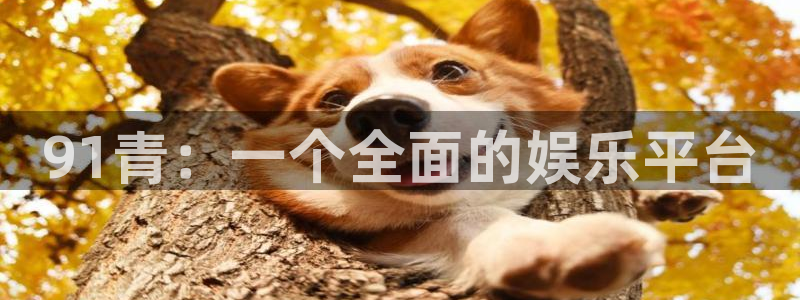 万向娱乐注册登录