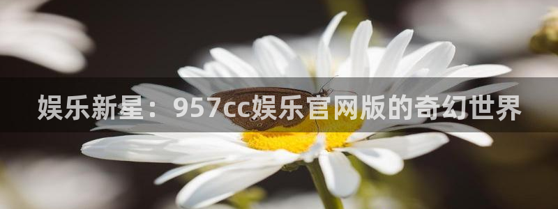 万向娱乐：娱乐新星：957cc娱乐官网版的奇幻世界