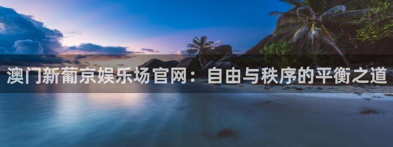 万向娱乐注册登录：澳门新葡京娱乐场官网：自由与秩序的平衡之道