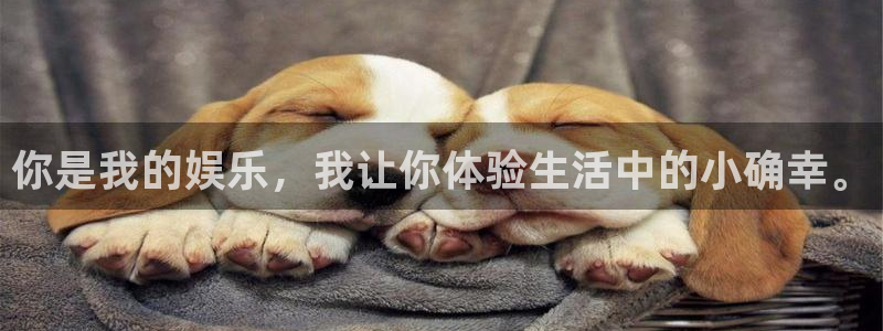 万向娱乐注册：你是我的娱乐，我让你体验生活中的小确幸。