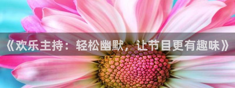 万向娱乐注册登录：《欢乐主持：轻松幽默，让节目更有趣味》