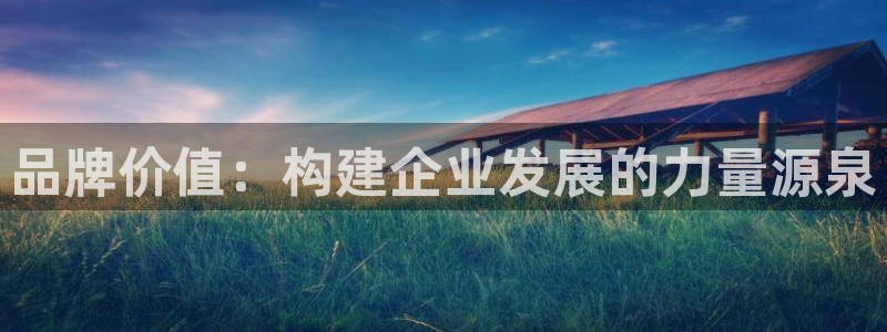 万向娱乐注册：品牌价值：构建企业发展的力量源泉