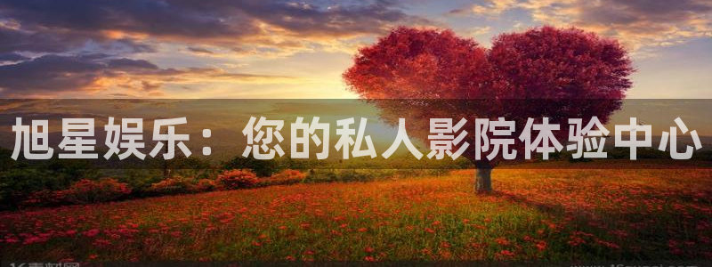 万向娱乐app：旭星娱乐：您的私人影院体验中心
