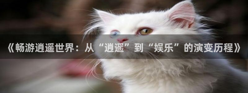 万向娱乐注册登录