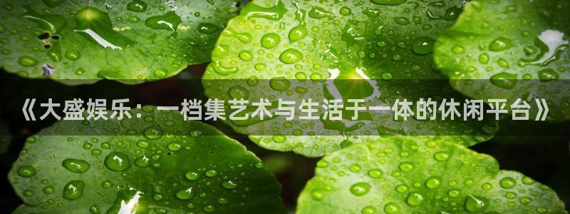 万向娱乐