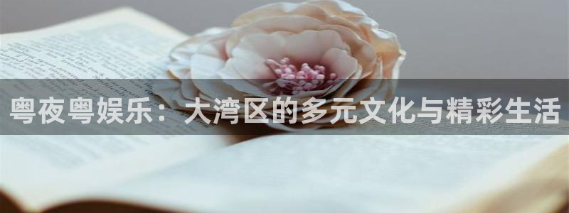 万向娱乐app：粤夜粤娱乐：大湾区的多元文化与精彩生活