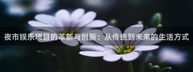 万向娱乐：夜市娱乐项目的革新与创新：从传统到未来的生活方式