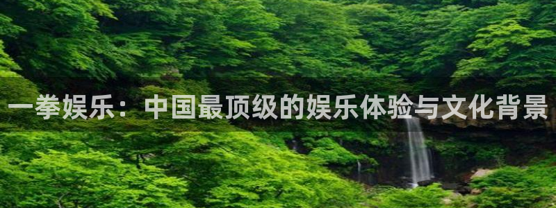 万向娱乐：一拳娱乐：中国最顶级的娱乐体验与文化背景