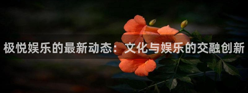 万向娱乐：极悦娱乐的最新动态：文化与娱乐的交融创新