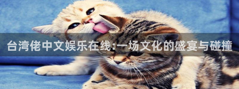 万向娱乐：台湾佬中文娱乐在线:一场文化的盛宴与碰撞