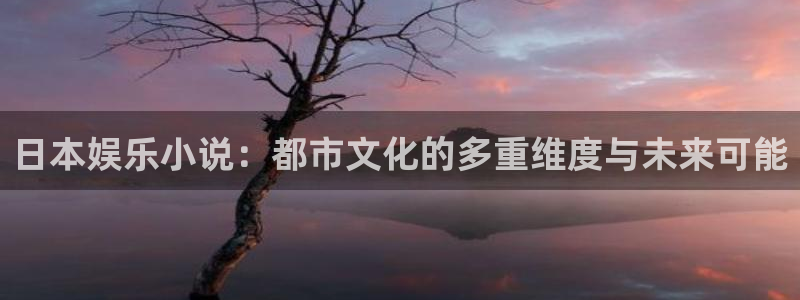 万向娱乐：日本娱乐小说：都市文化的多重维度与未来可能