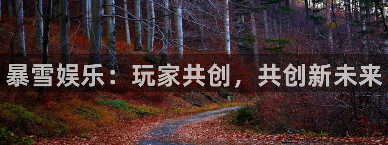 万向娱乐注册登录：暴雪娱乐：玩家共创，共创新未来