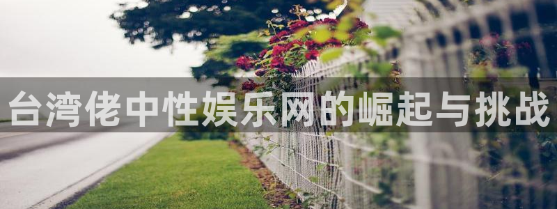 万向娱乐：台湾佬中性娱乐网的崛起与挑战