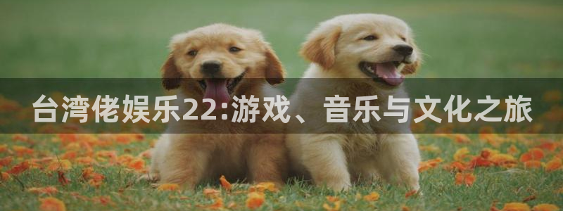 万向娱乐app：台湾佬娱乐22:游戏、音乐与文化之旅