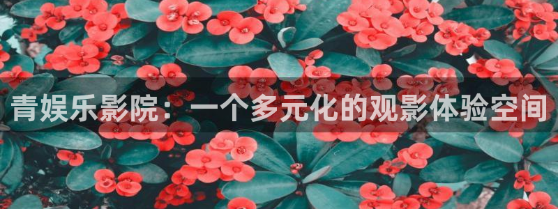 万向娱乐注册登录：青娱乐影院：一个多元化的观影体验空间