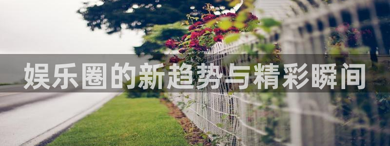 万向娱乐注册：娱乐圈的新趋势与精彩瞬间